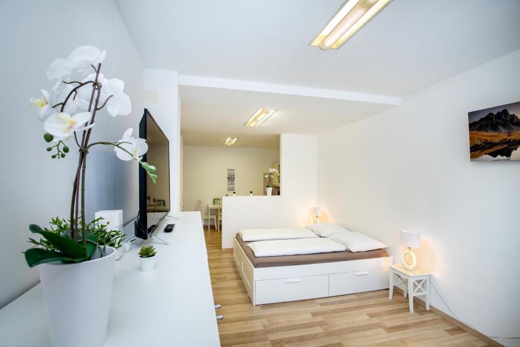 Citycenter Bad Ischl - Studio Apartments TRAUNKAi photo 2