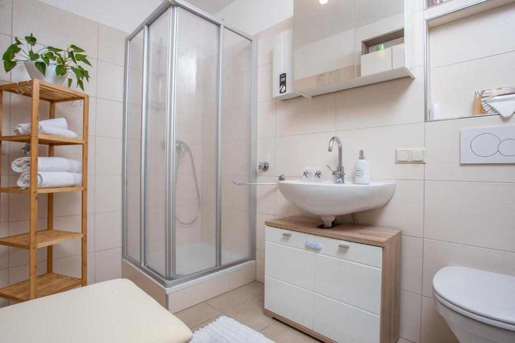 Schnelli Appartement Schladming photo 3