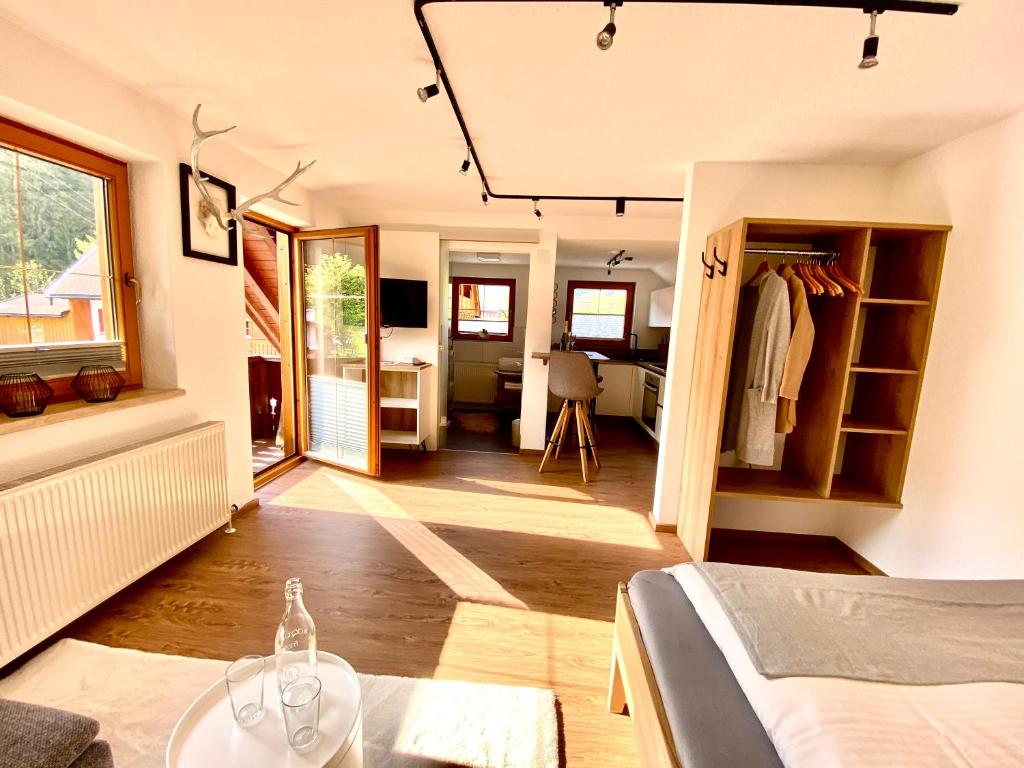 Haus Sonnleitner Studio Rittisberg — photo 1