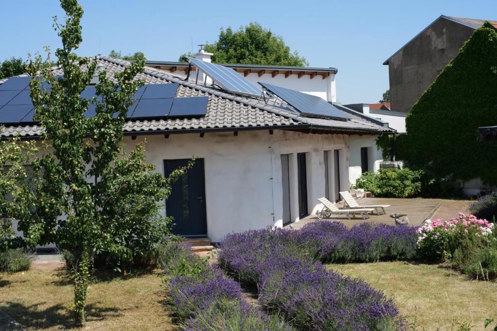 Strohlehm'zhaus — photo 1