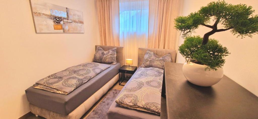 Stilvolle moderne 3-Zimmerwohnung photo 2