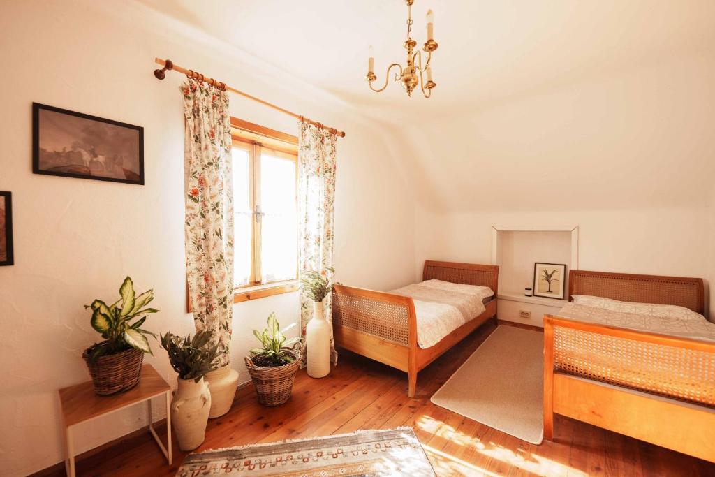 Steiner Apartment photo 2