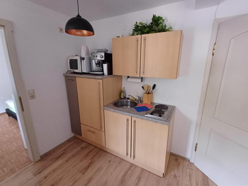 Wohnung im Nationalpark Kalkalpen 1 photo 3