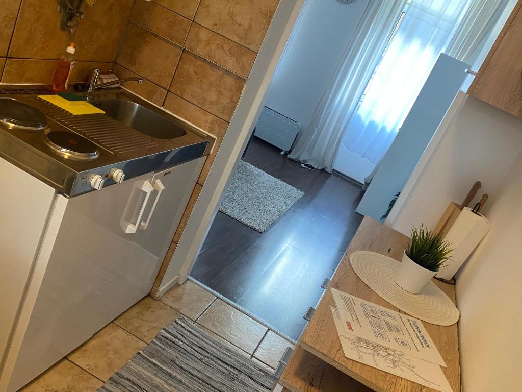 Rover Apartment photo 3