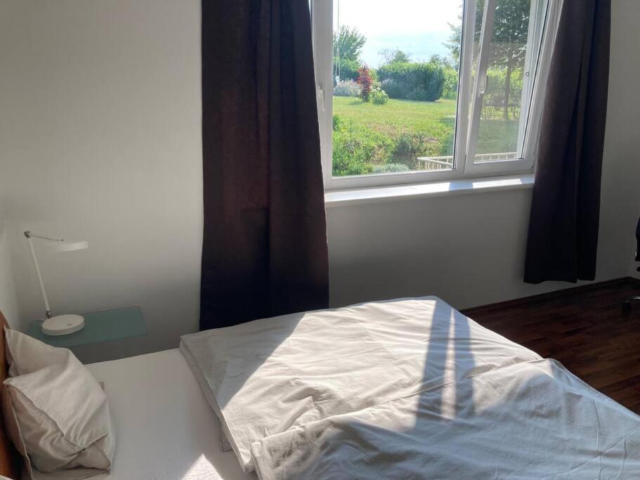 Wohnung im Grünen photo 2