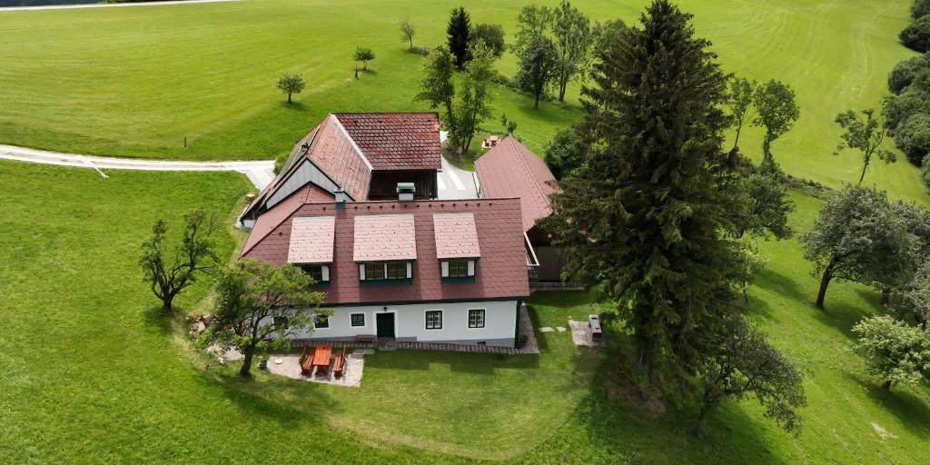Stein im Holz photo 2
