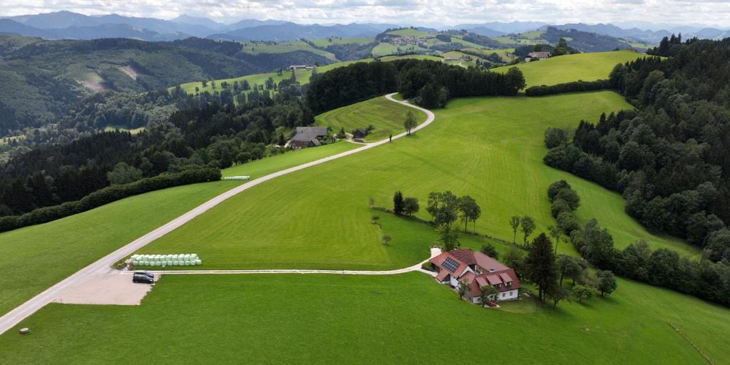 Stein im Holz photo 3