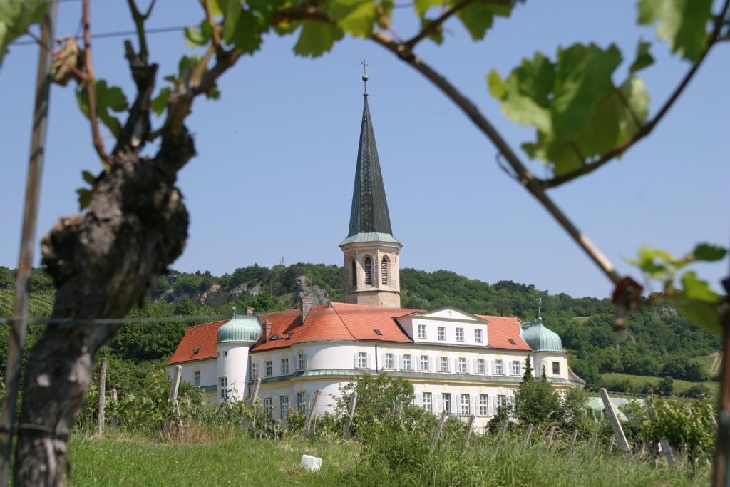 Schloss Gumpoldskirchen — photo 1