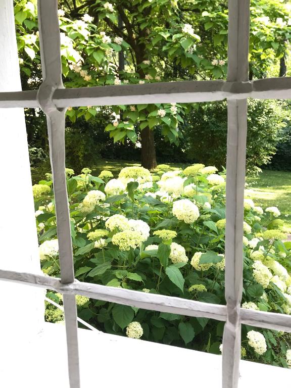 Schloss Rauchenbichl photo 3