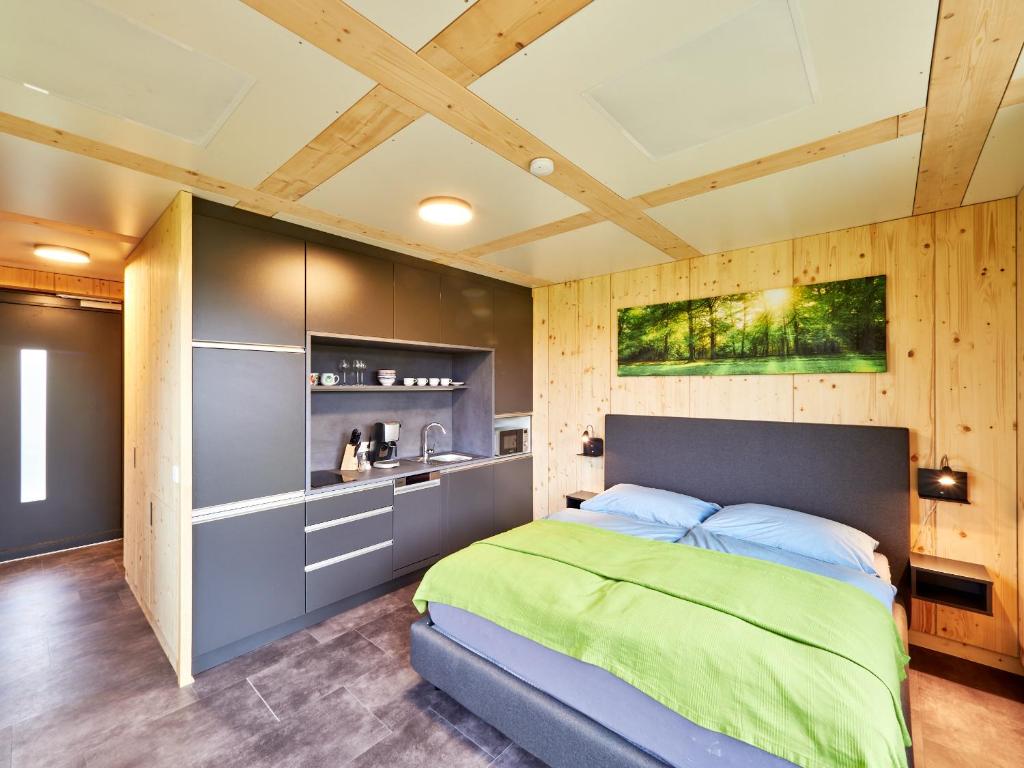 ZiKK Apartment Vitis photo 2