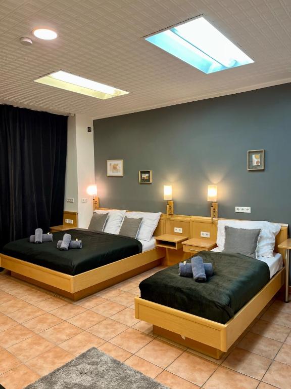 Spacious Apartment in Vienna Center — photo 1