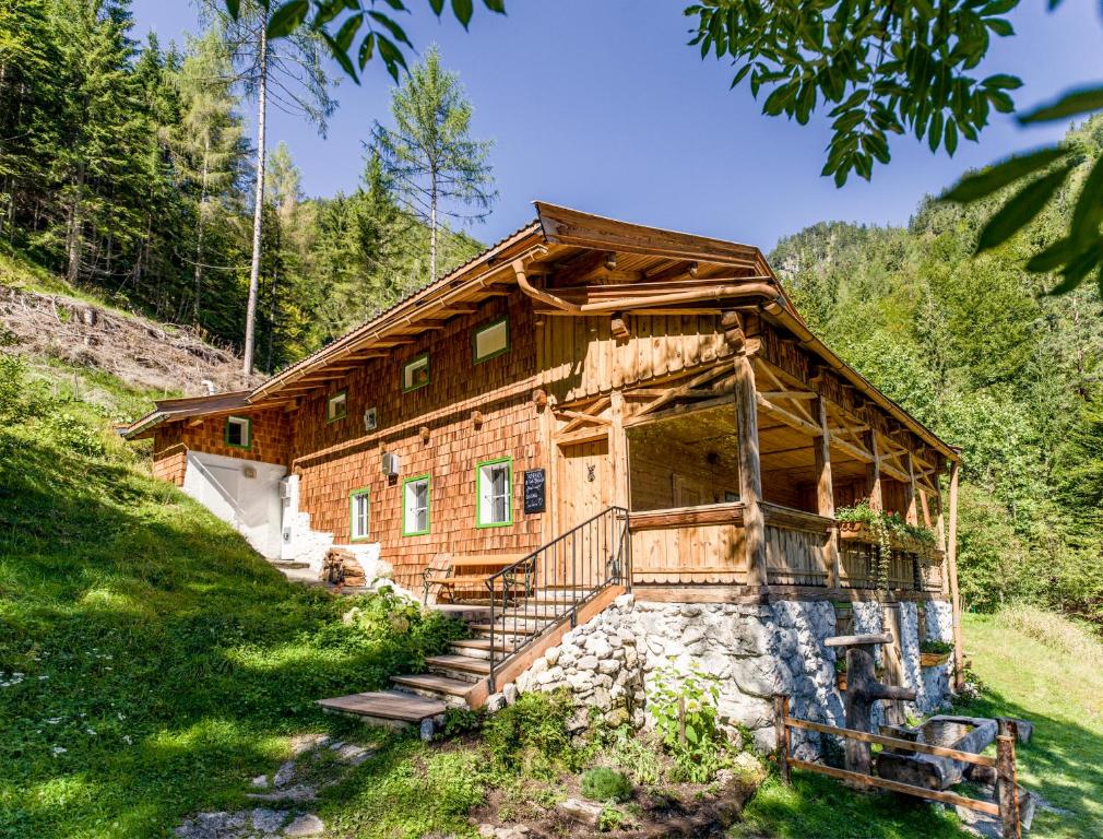Talsenalm Wald Habitat — photo 1