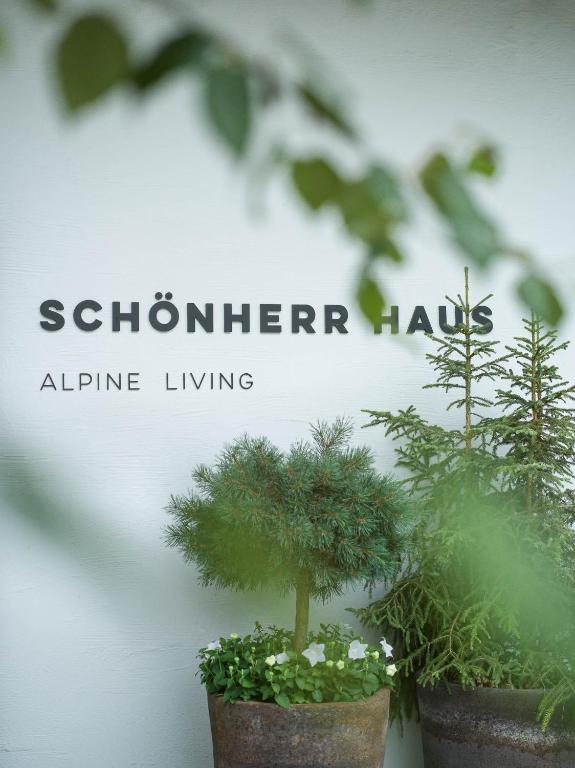 Schönherr Haus photo 3