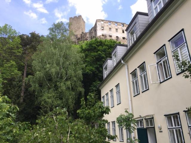 Schöne Wohnung im Helenental — photo 1