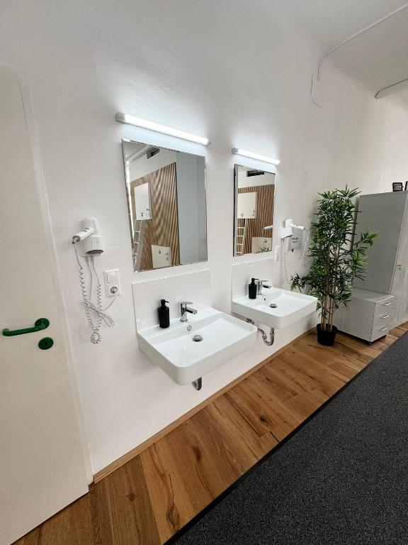Robin Wood Capsule Hostel photo 3