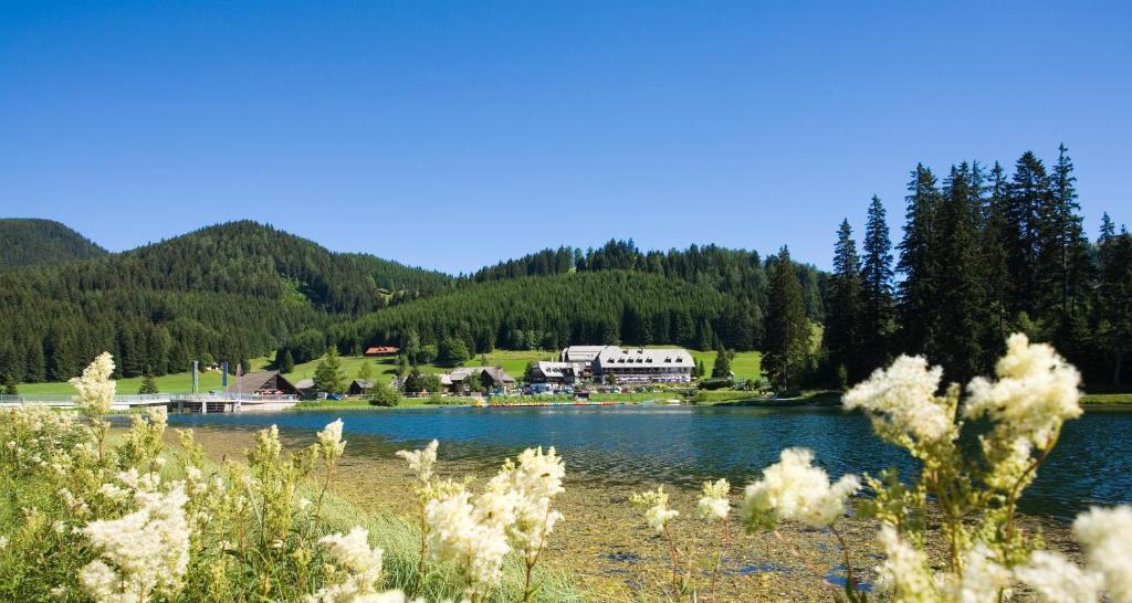 Hotel Teichwirt — photo 1