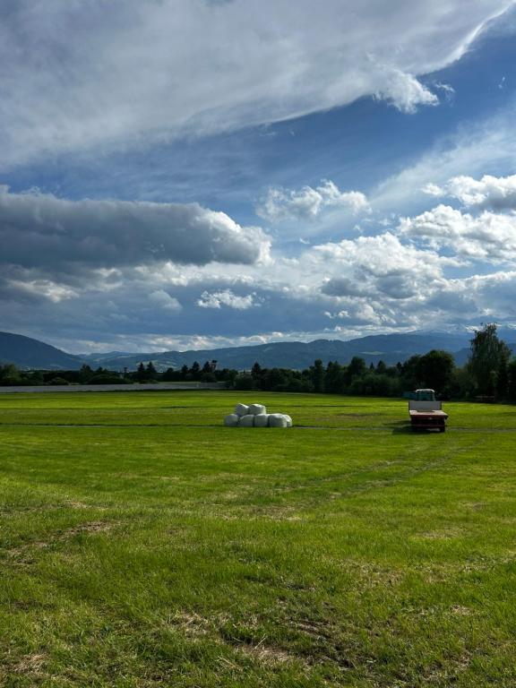 Tinyhome Spielberg -Glamping Container photo 3