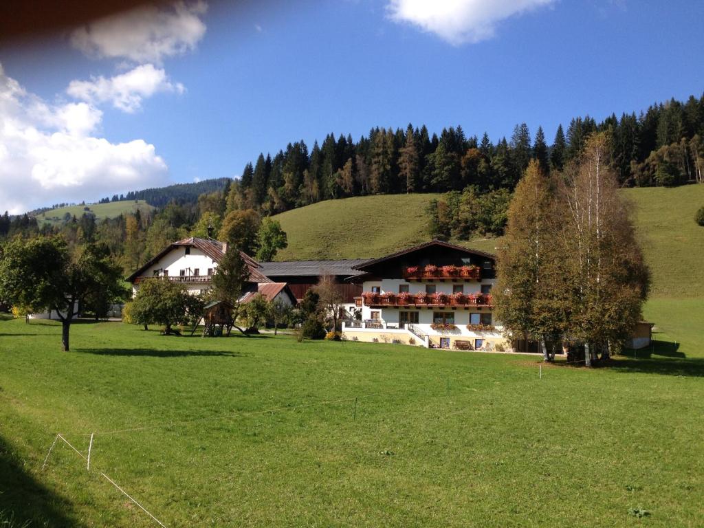 Scharfetthof — photo 1