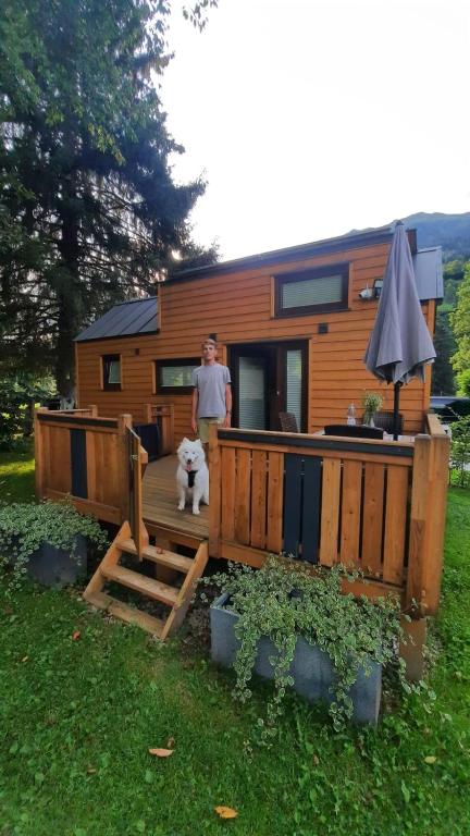 Tiny House Waldschmied 1 — photo 1