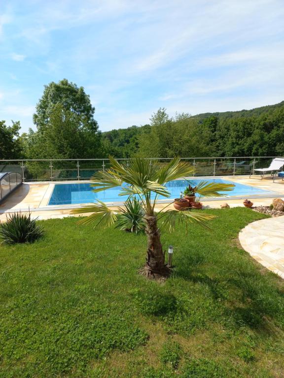 Haus Sylvia photo 3