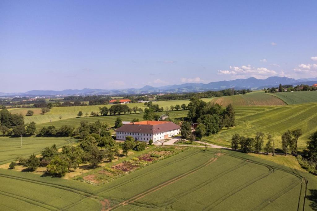 Wildkraut's Kräuter- und Alpakabauernhof — photo 1