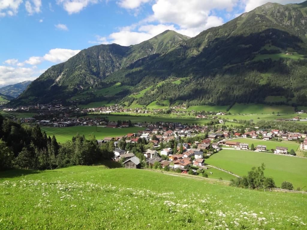 Schlossalm Appartement photo 3