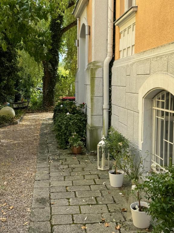 Stadtvilla Wels photo 3