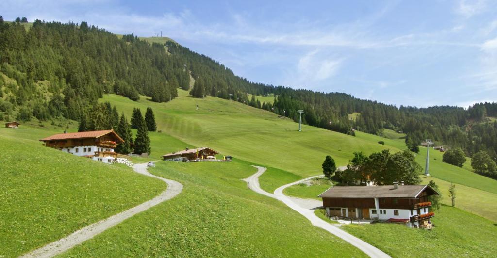Salvenalm — photo 1