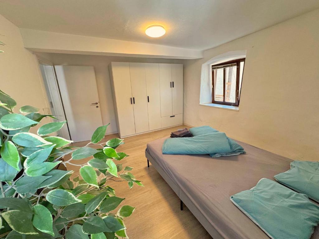 Lovely Apartment in the Old Town photo 2