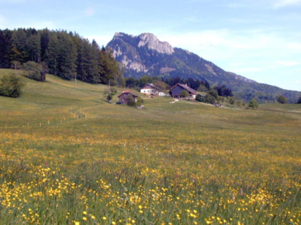 Leitingerhof photo 2