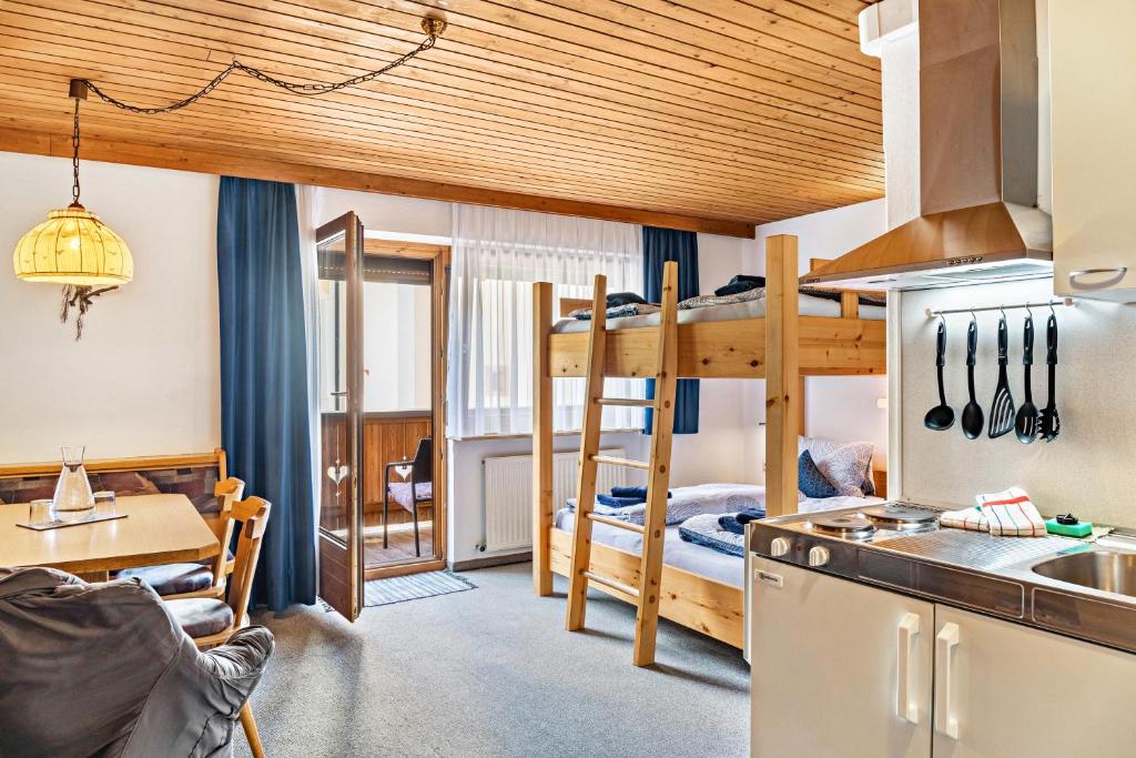 Studio Hochzillertal mit Sauna photo 2