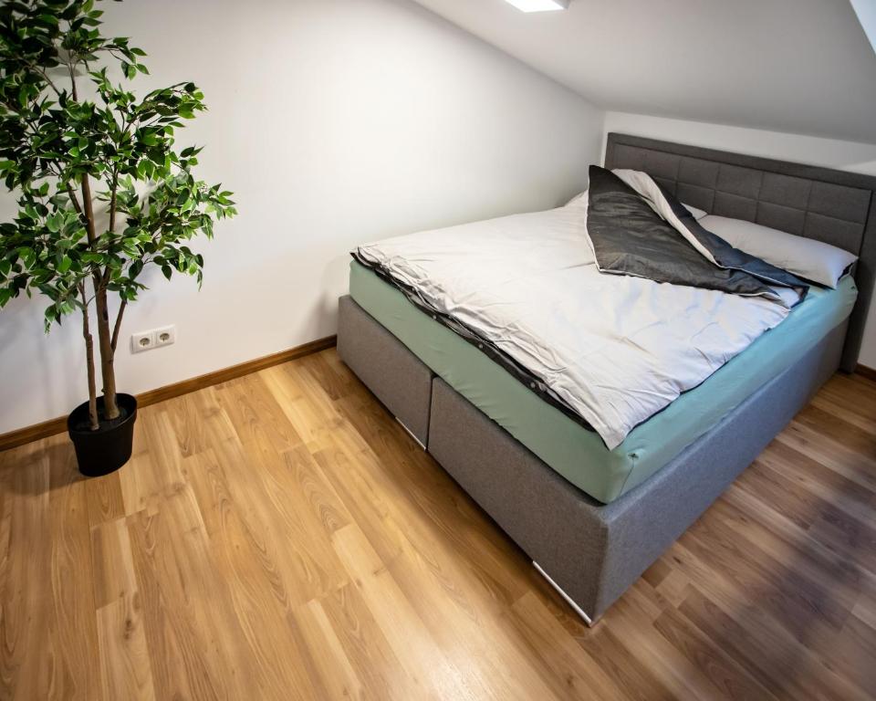CozyHome - Spacious and Modern Apartment close to Vienna photo 2