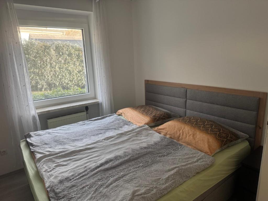 Schöne Wohnung in grüner Lage mit Fitnessgerät — photo 1