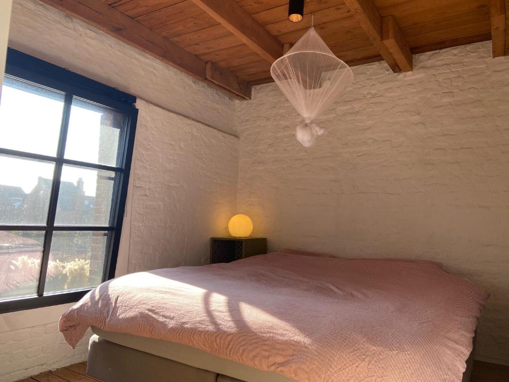 Cosy house 6 people photo 2