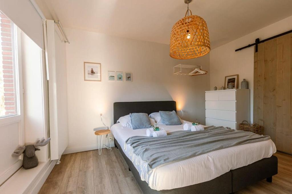 Casiola - Sunny bright apartment in the center of De Haan photo 2