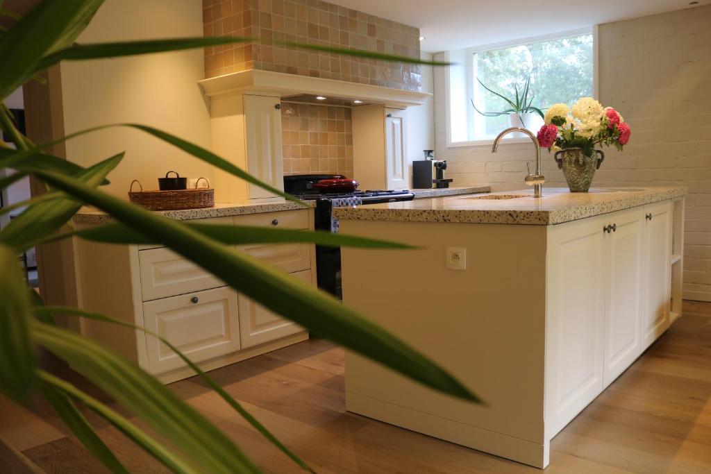 Rustiek vakantiehuis in 't groen — photo 1
