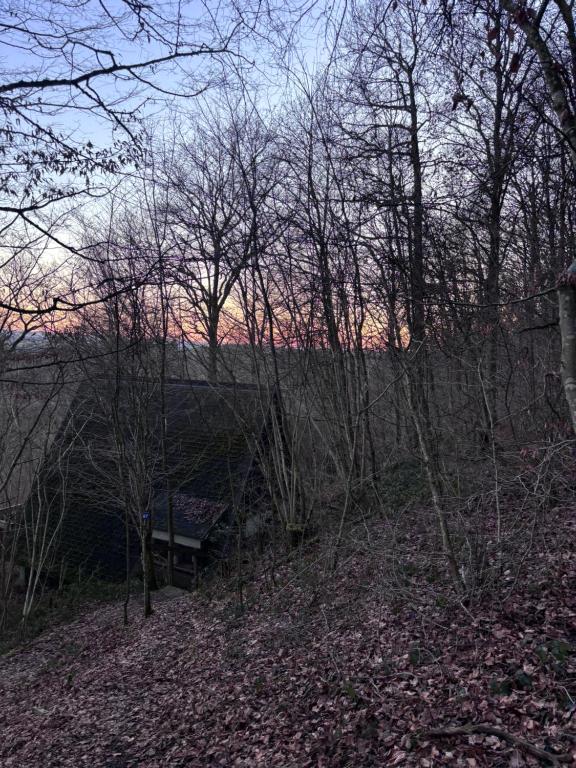 The Forest Cabin Durbuy photo 3