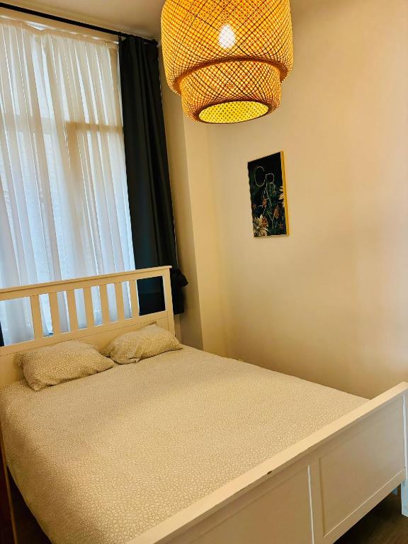 Sublime appartement au centre de Bruxelles photo 2