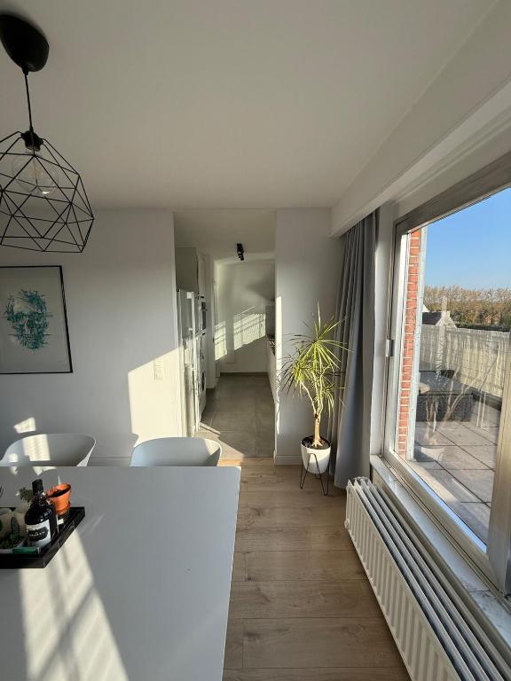 TML 500m - Luxury Penthouse with 2 Balconies photo 3