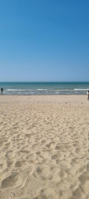Superbe appartement à koksijde (coxyde) photo 2