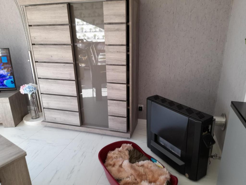 Superbe appartement à koksijde (coxyde) photo 3