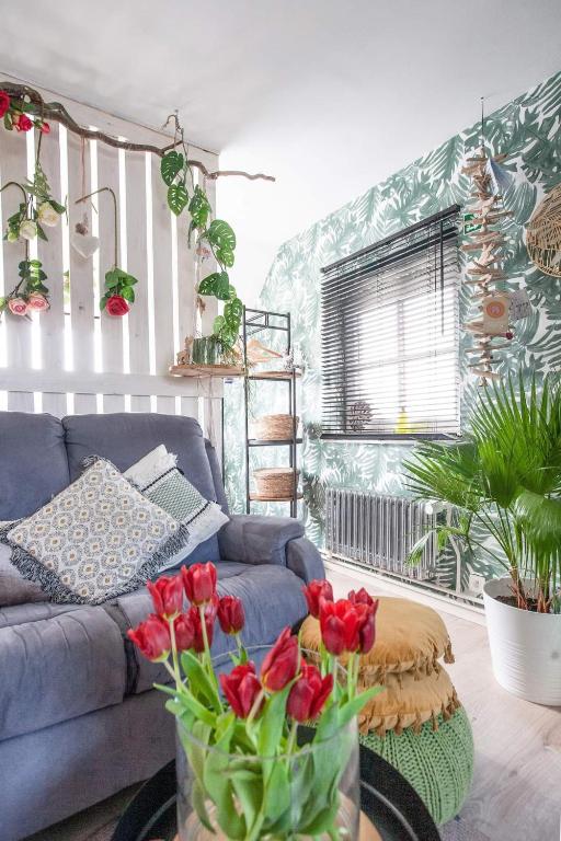 Zalig cosy appartement voor 3 personen — photo 1