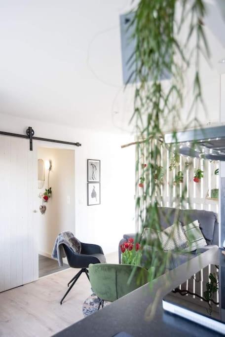 Zalig cosy appartement voor 3 personen photo 3