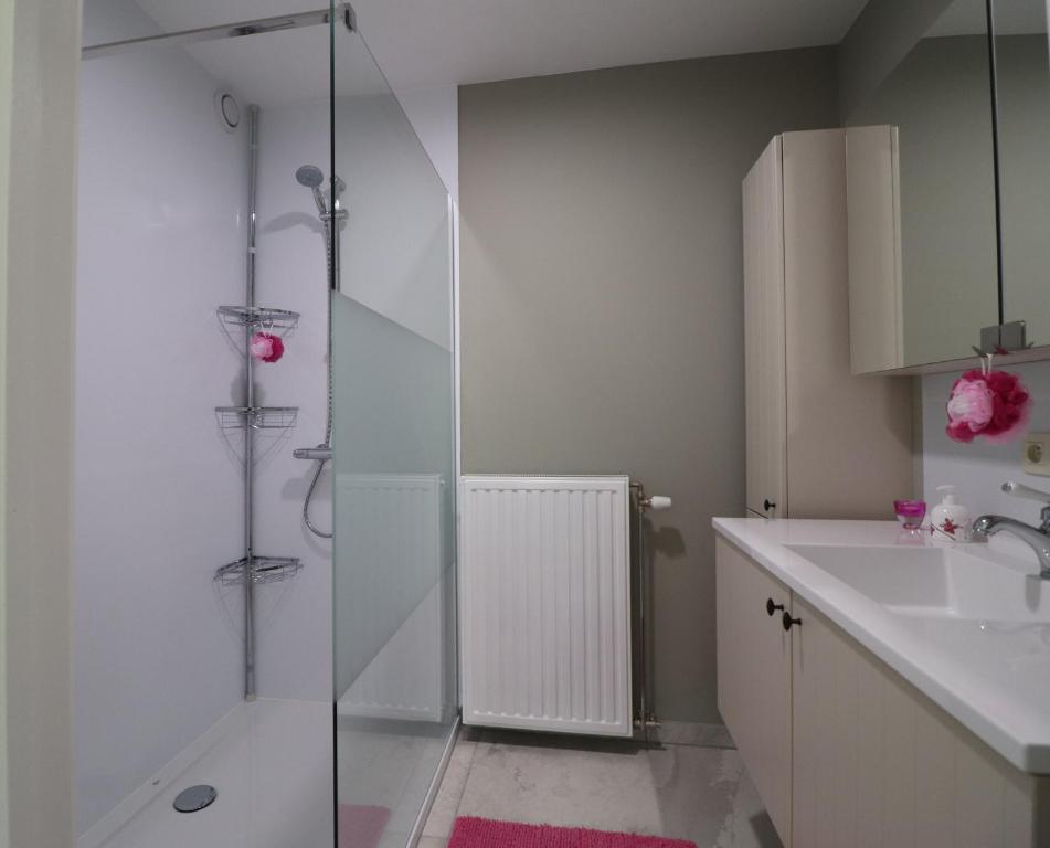 Stefjes Holiday Home photo 3