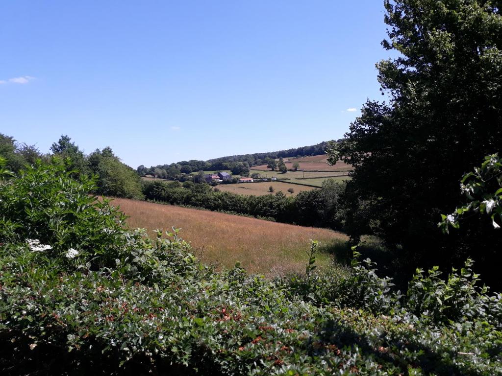 Studio Au jardin fleuri photo 2