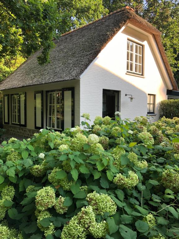 Schilde Cottage — photo 1