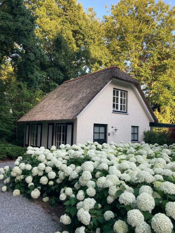 Schilde Cottage photo 2