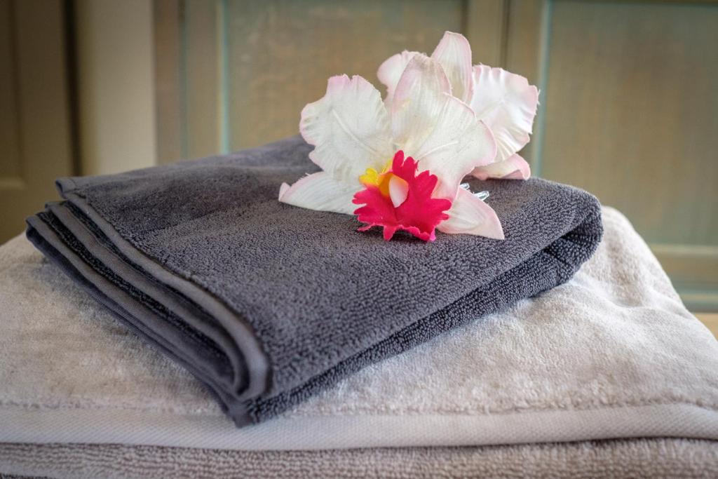 ZENte Wellness beleving photo 3