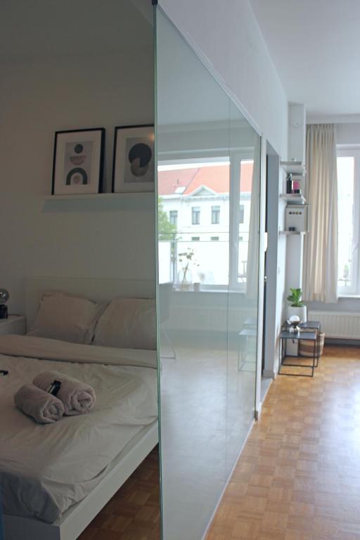 Sunny Apartment - Zuid Retreat 1BR Apartment near Scheldt River photo 2