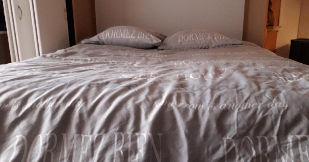 Studio spacieux 50 m2 pour 2+2 tout confort photo 2